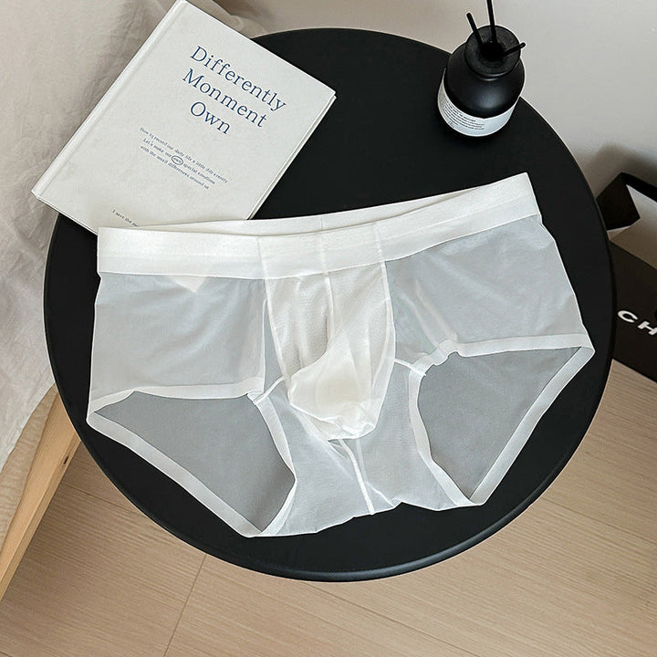 Ice Silk Lightweight Breathable Bottom Crotch Men's Triangle Underwear