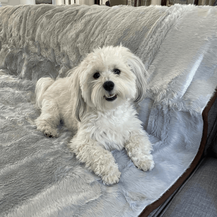 PupProtector™ Summer Short Fur Waterproof Throw Blanket - Grey