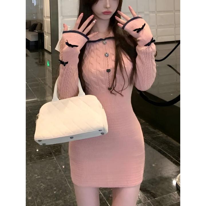 Chic Winter Dress
