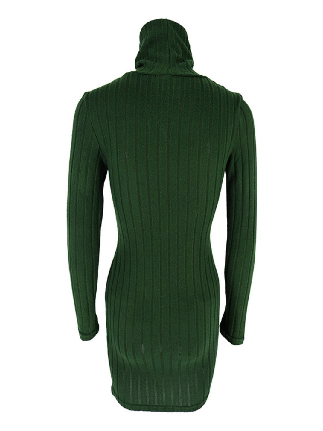 Turtleneck Ribbed Bodycon Mini Dress