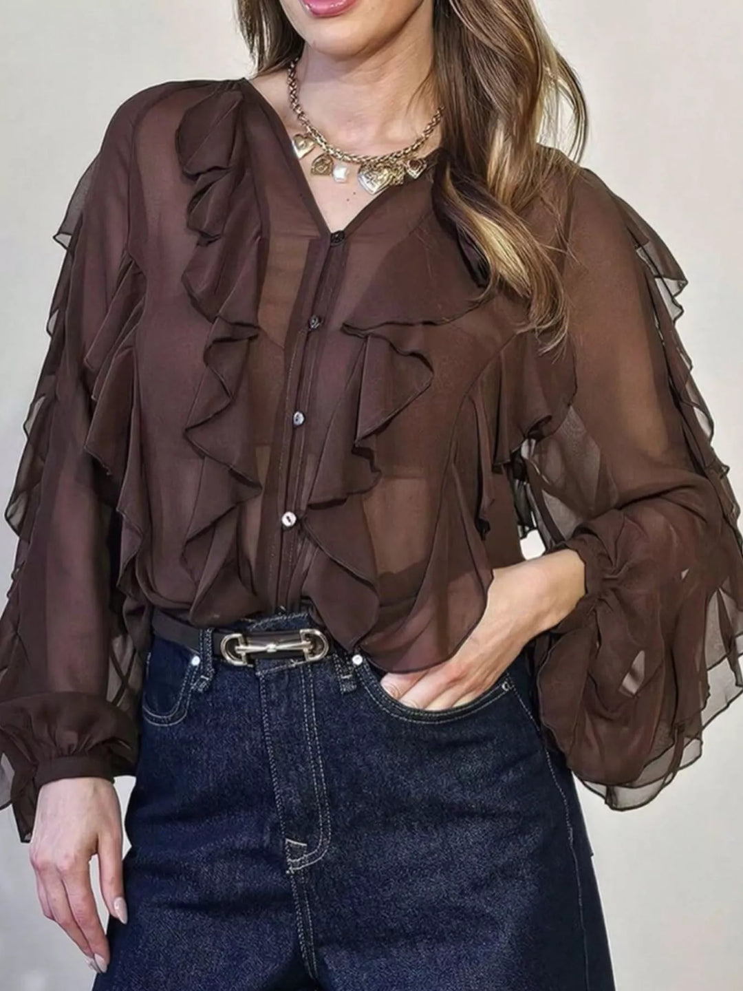 Ruffled Sheer Long Sleeve Blouse