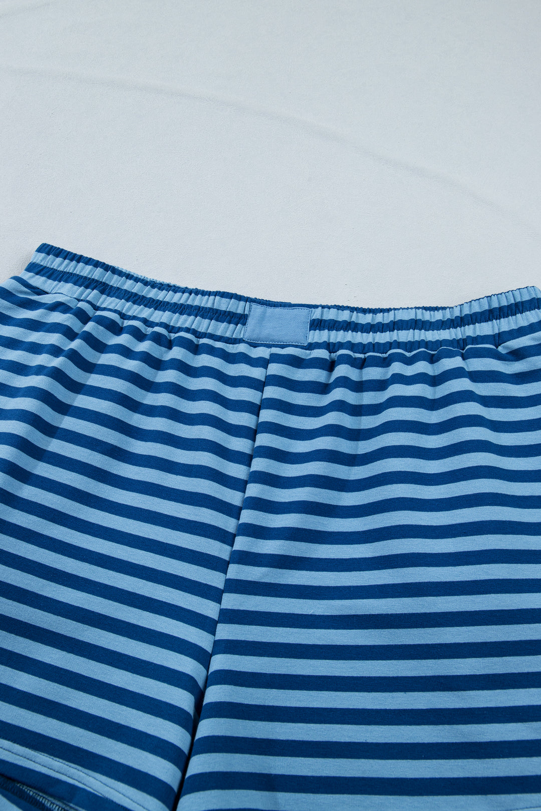 Blue Stripe Plus Size Dropped Shoulder Tee and Shorts Two-Piece Set