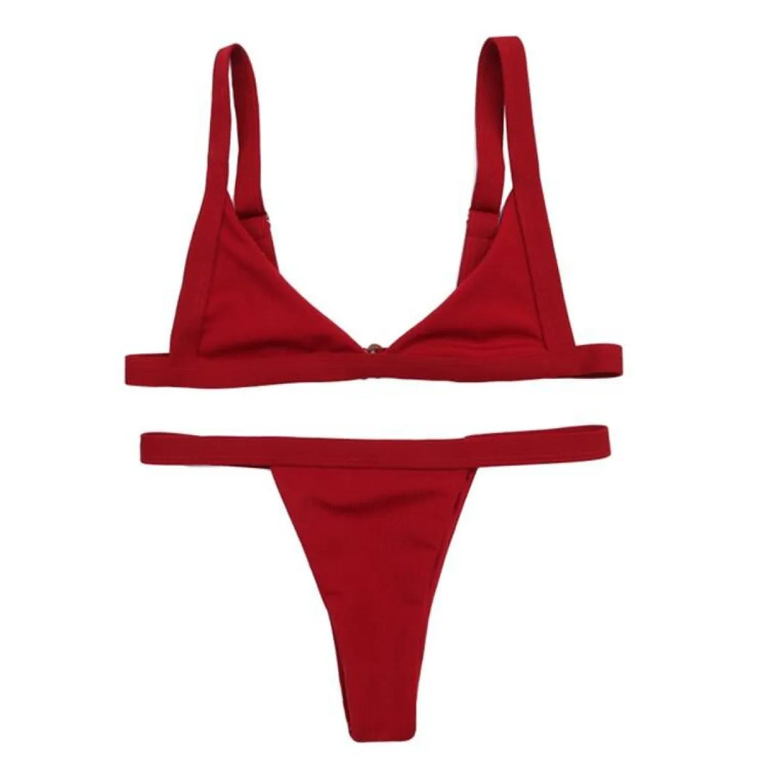 Deep-V Bikini Swimsuit