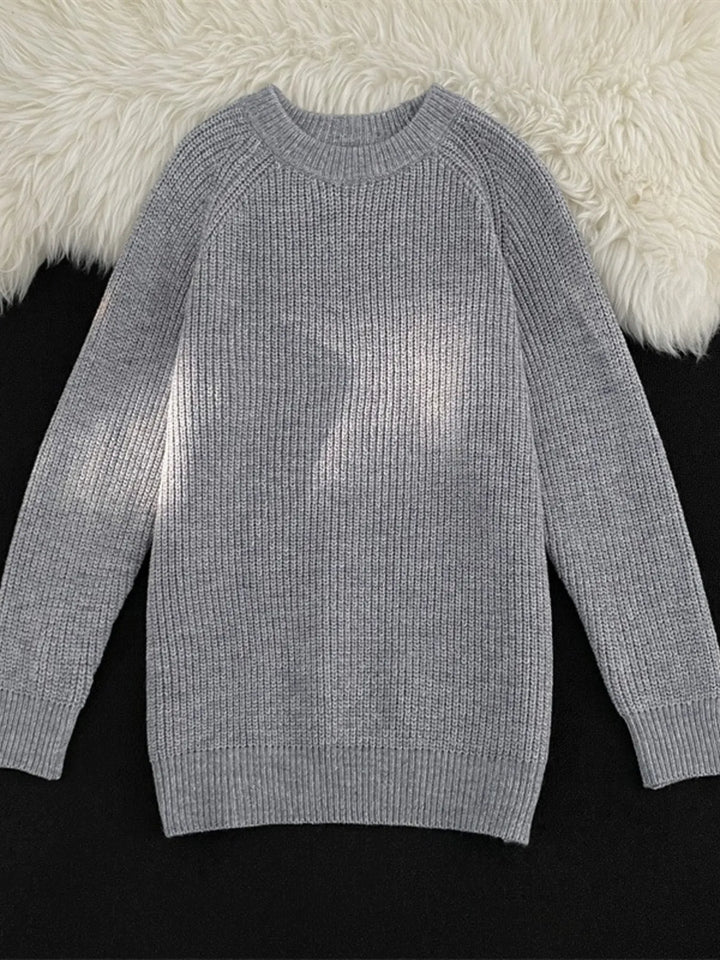 Men's Plus Size Round Neck Long Sleeve Sweater