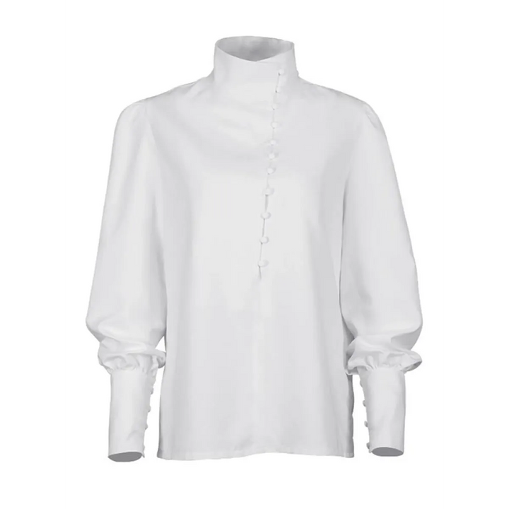 Elegant Turtleneck Blouse