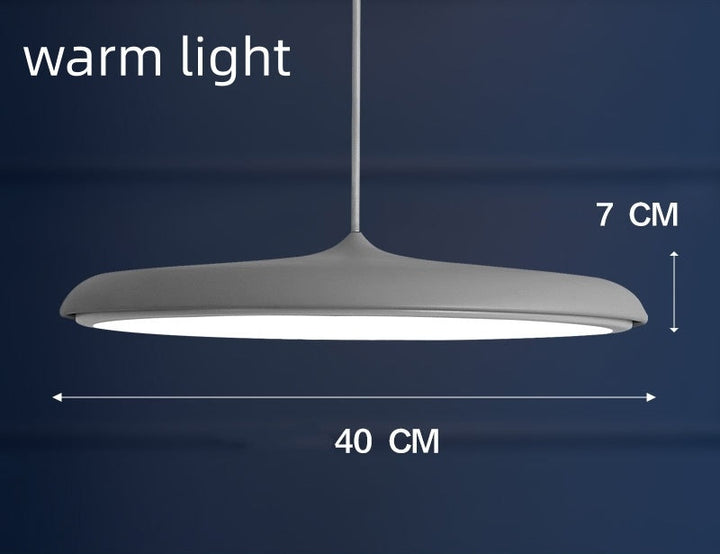 Nordic Modern Simple LED Chandelier Restaurant Chandelier Designer Chandelier
