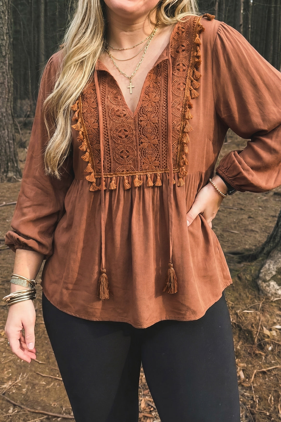 Chestnut Boho V Neck Embroidered Tassel Long Sleeve Plus Size Blouse