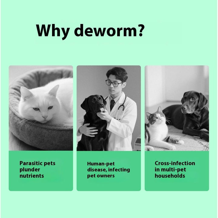 Pet Itching Relief Health Care Products