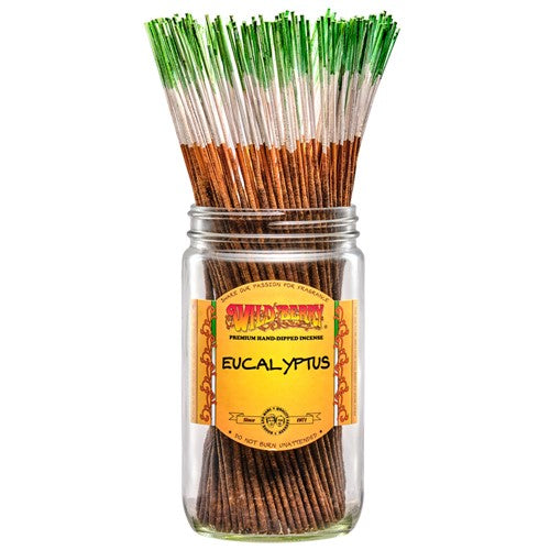 Eucalyptus Incense Sticks (pack of 50)