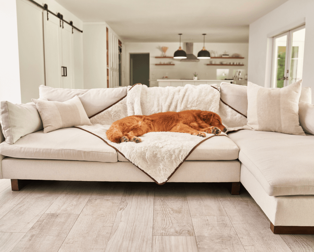 PupProtector™ Summer Short Fur Waterproof Throw Blanket - Polar White