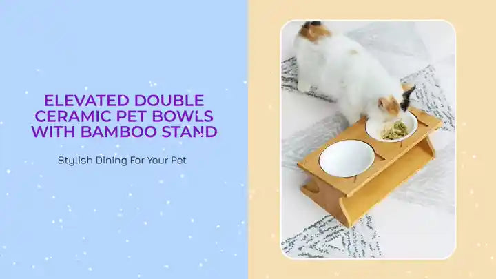 Elevated Double Ceramic Pet Bowls with Bamboo Stand by@Outfy