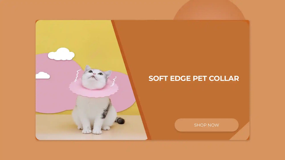 Soft Edge Pet Collar by@Outfy