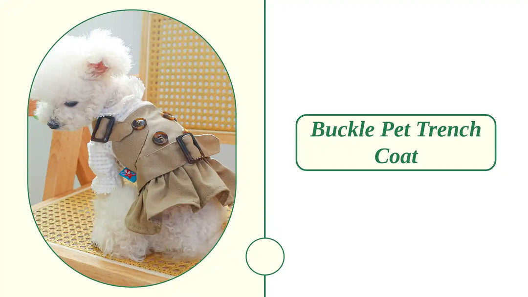 Buckle Pet Trench Coat by@Outfy