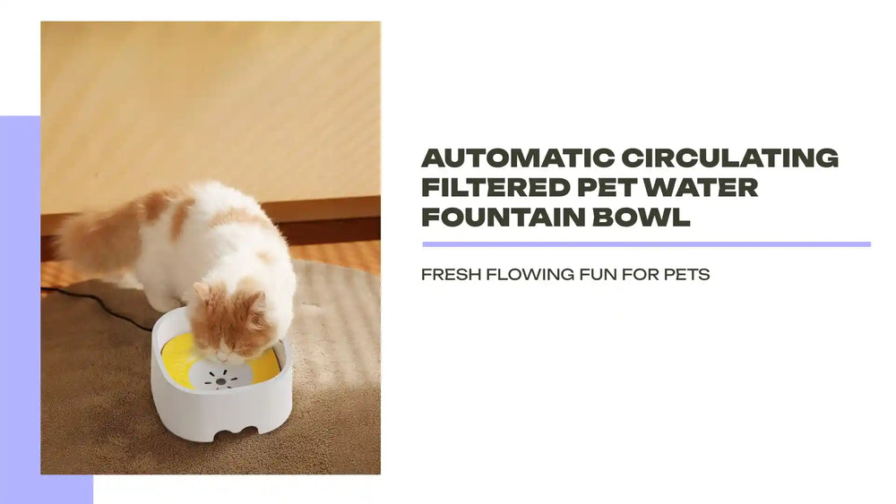 Automatic Circulating Filtered Pet Water Fountain Bowl by@Outfy