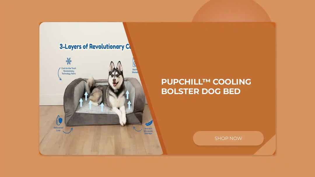 PupChill&trade; Cooling Bolster Dog Bed by@Outfy