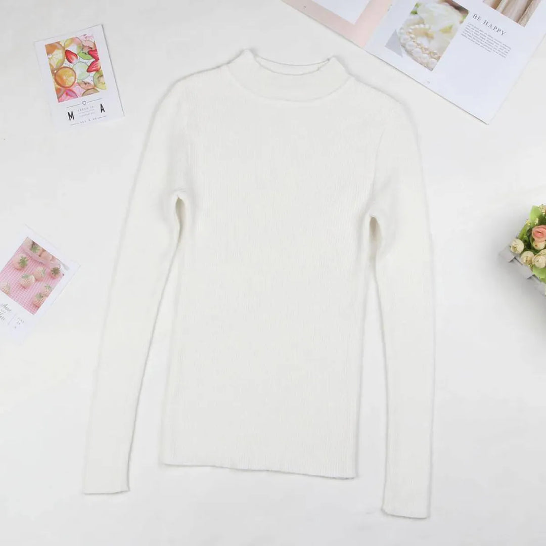 Solid Turtleneck Sweater