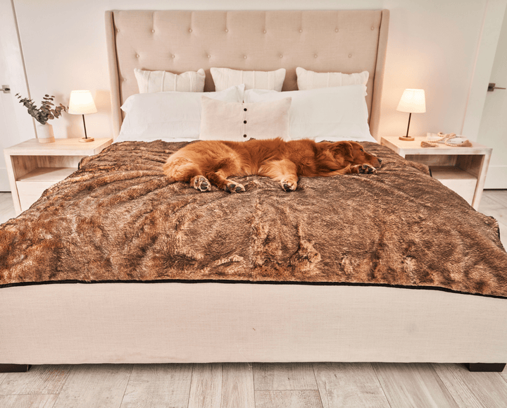 PupProtector™ Summer Short Fur Waterproof Throw Blanket - Sable Tan